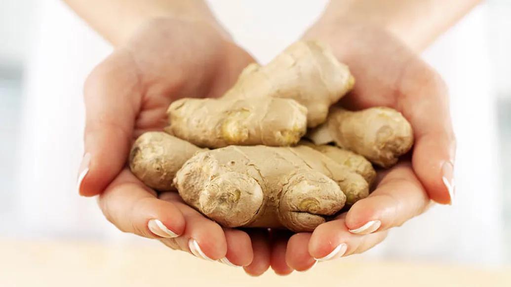 ginger root in hands
