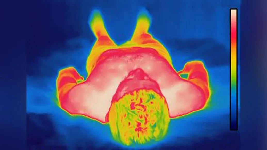 Heat map of body image