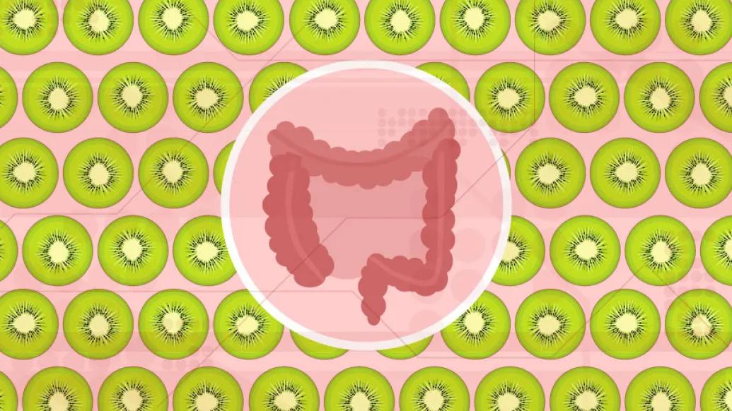 green kiwis with picture of pink stomach bowels in middle