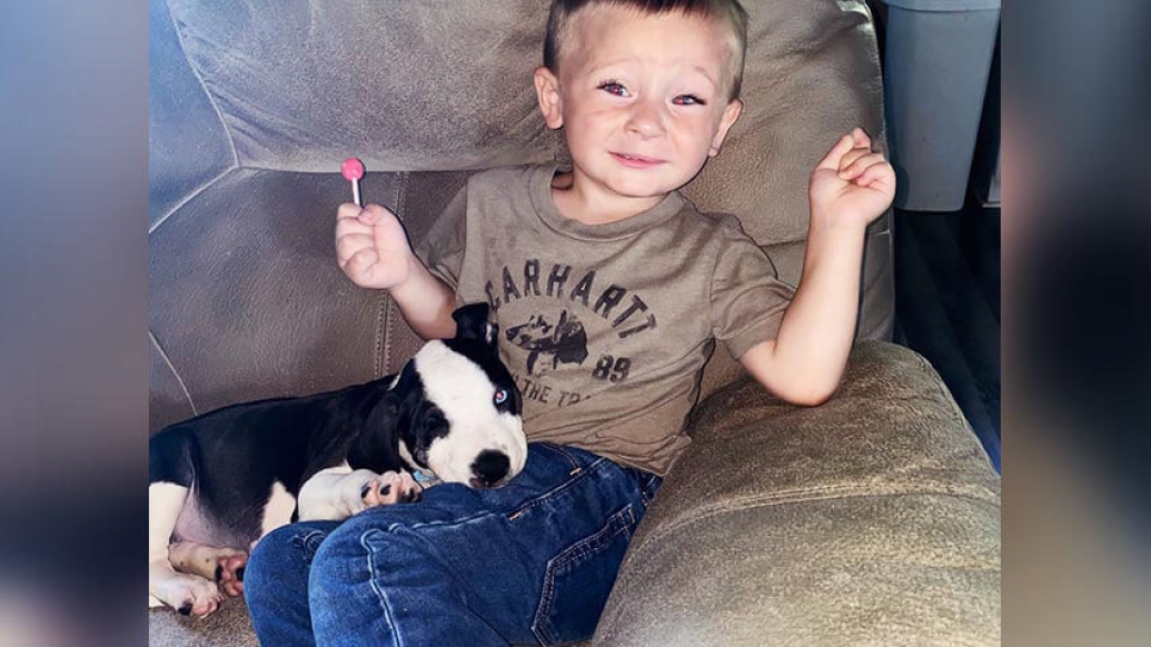 Little boy with puppy on couch