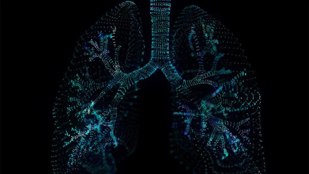 Multi-colored lung illustration