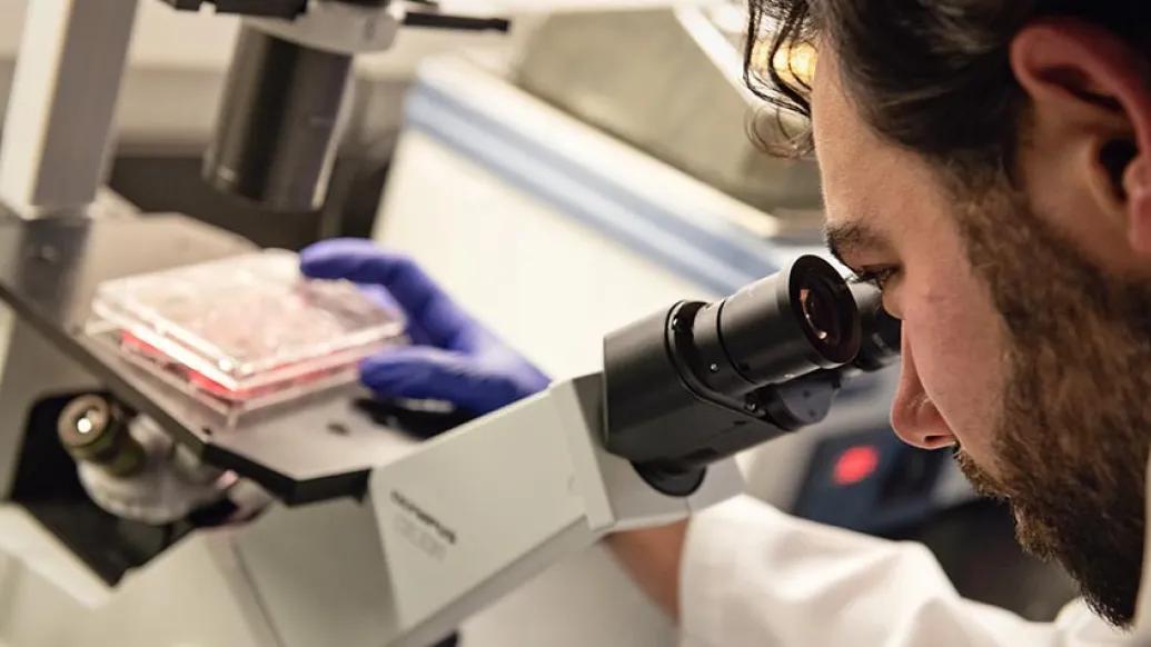 man looking in microscope in lab