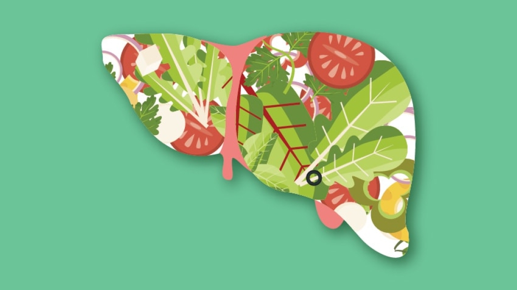 healthy-liver-illustration