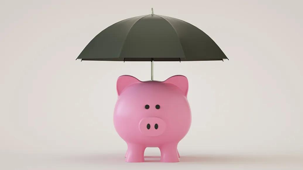 piggy bank umbrella pink biege