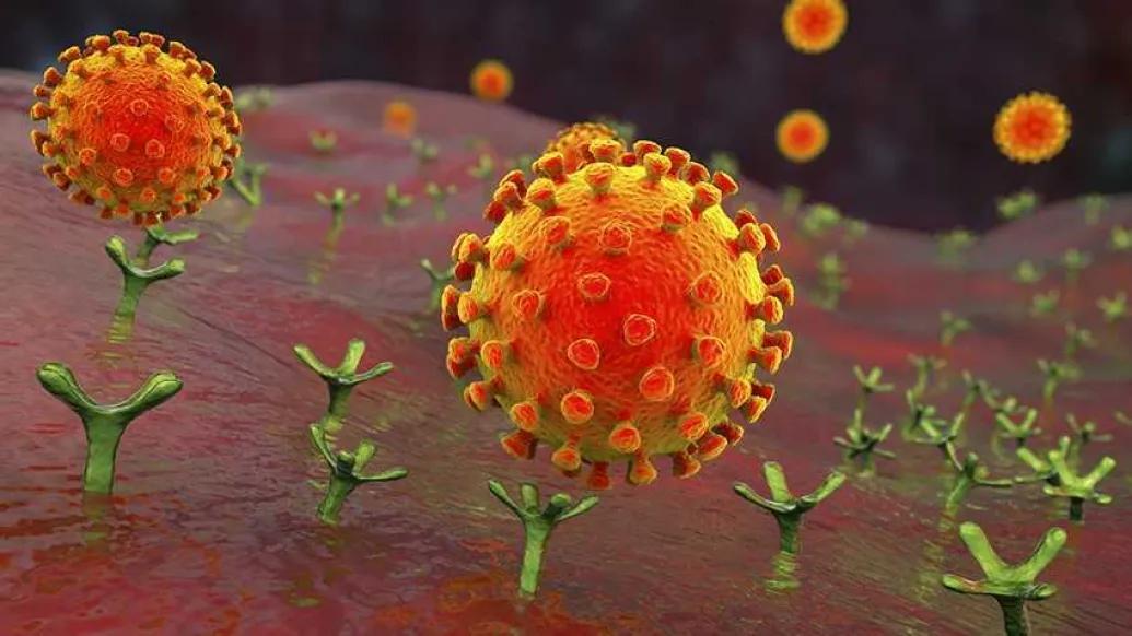 red orange cells floating