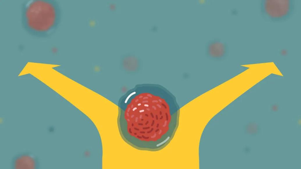 stem cell choosing path