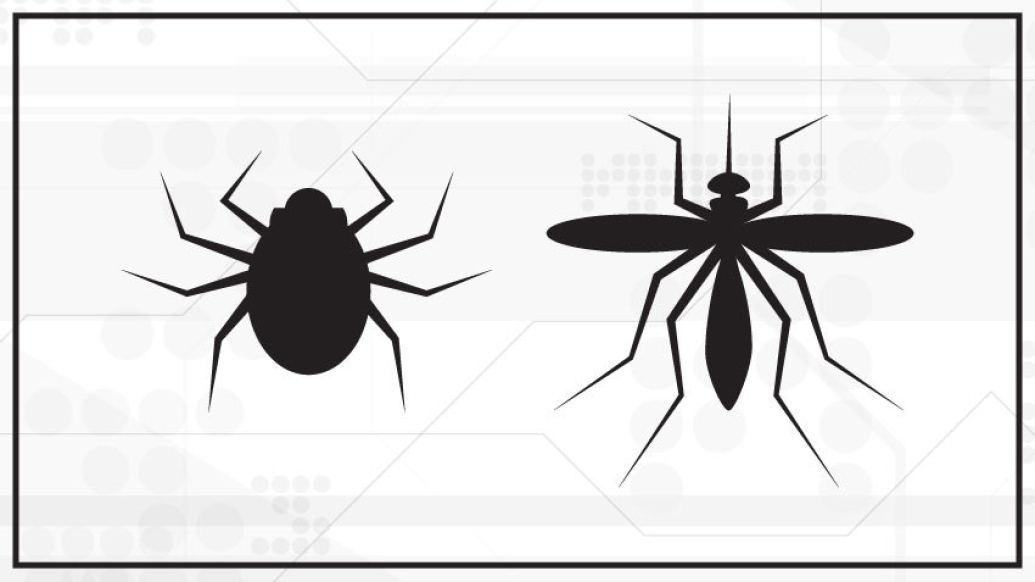 images of a tick and mosquito side by side