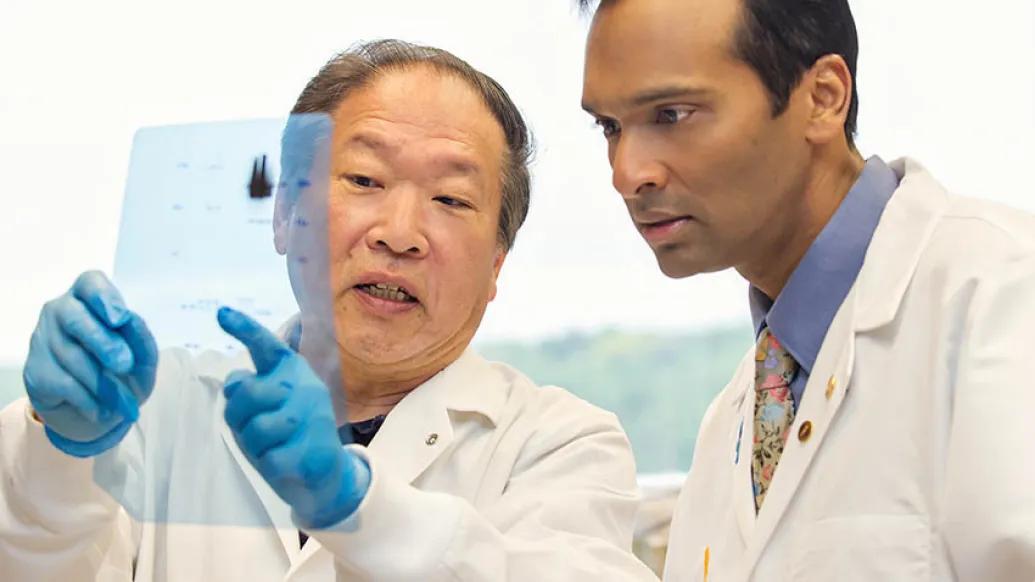 two doctors looking at science data