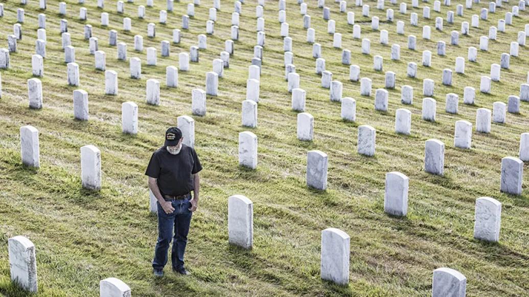Vet in cemetery 
