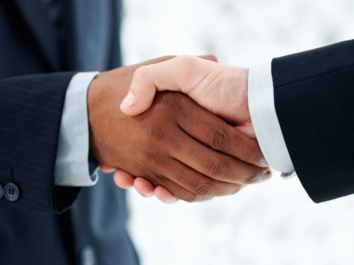 handshake of two business people