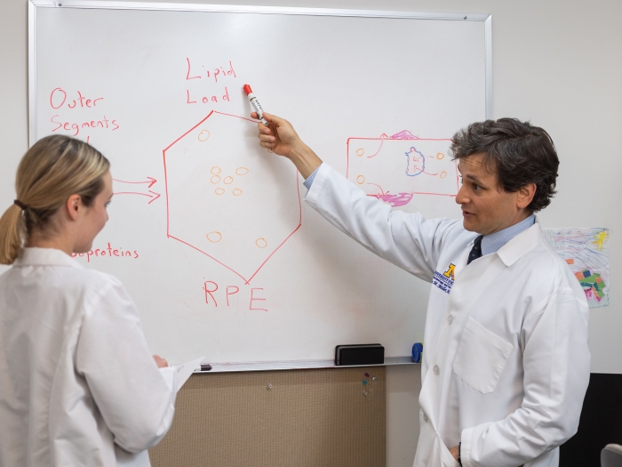 two physicians having a discussion in front of a whiteboard
