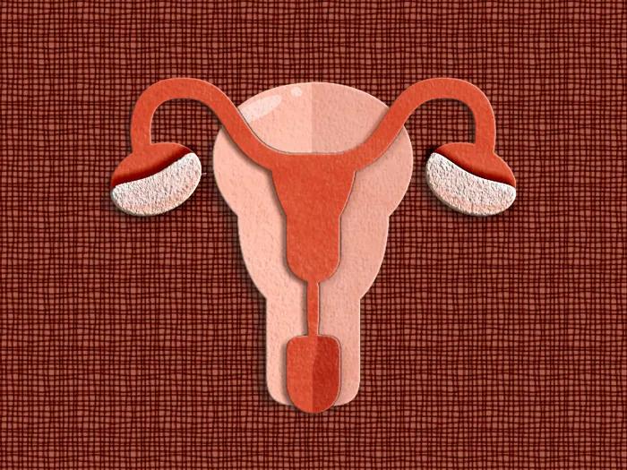 uterus image felt graphic red