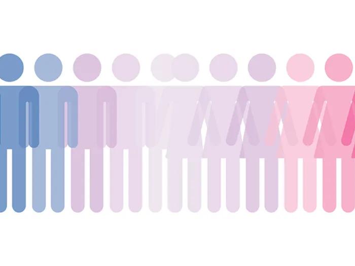 illustration of people icons spanning from a blue figure to a pink figure