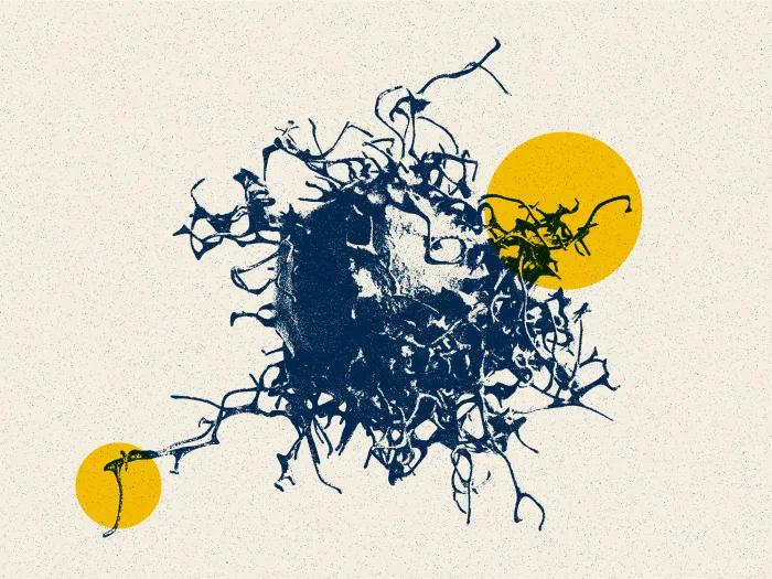 cancer cell