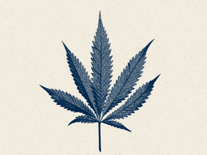 cannabis leaf sketched blue