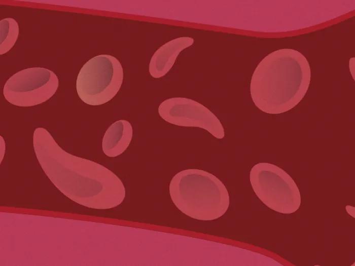 blood cells floating red maroon