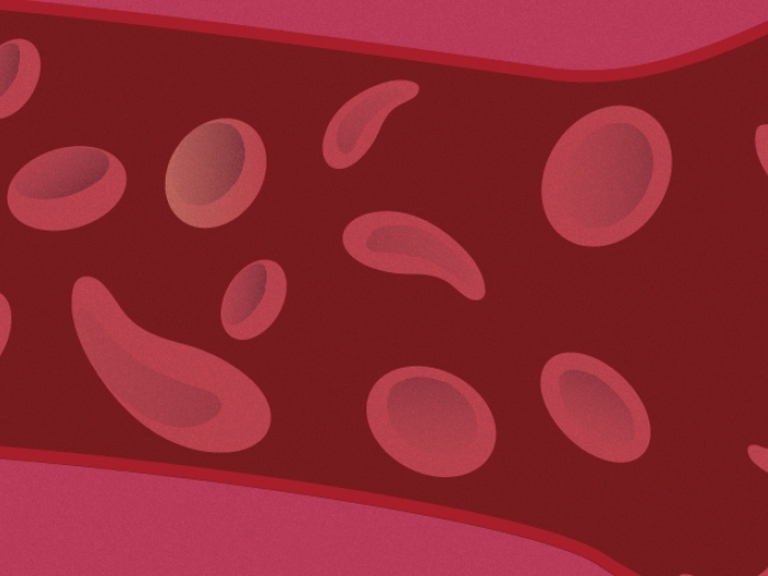 blood cells floating red maroon