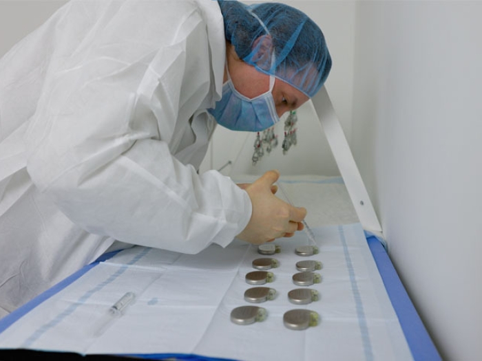 researcher in lab looking closely at tray