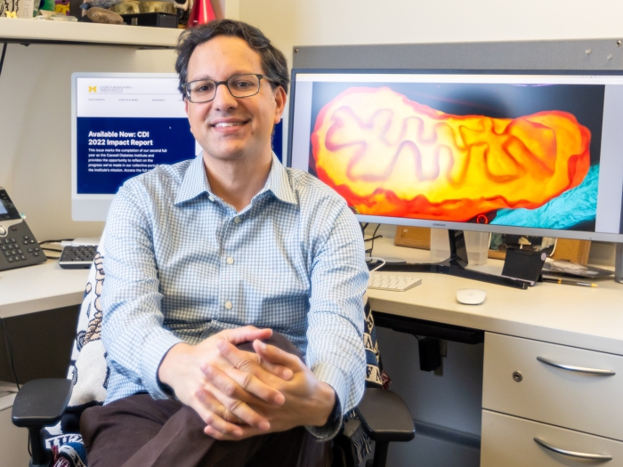 Scott Soleimanpour, M.D., sits in front of a computer screen picturing beta cells
