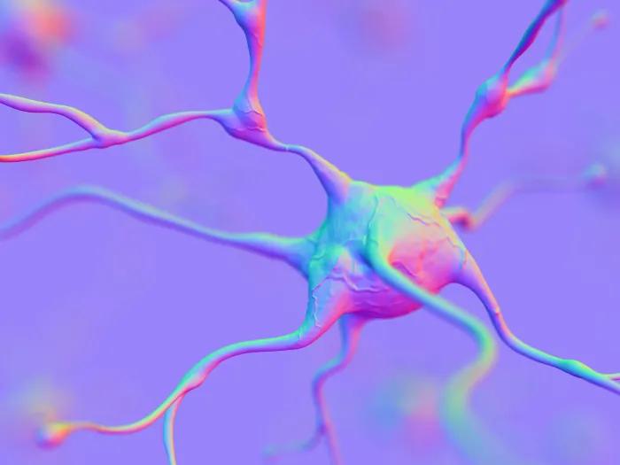 Illustration of neuron cell