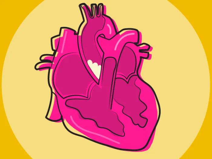 Illustration of a magenta heart with white plaque on a golden background.