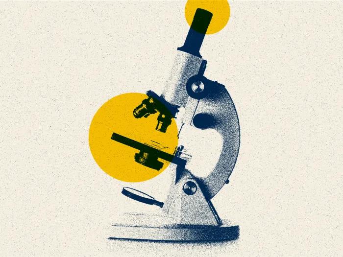 Illustration of a microscope