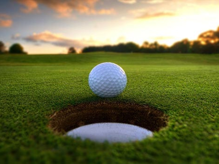 golf ball sitting at the edge of a hole