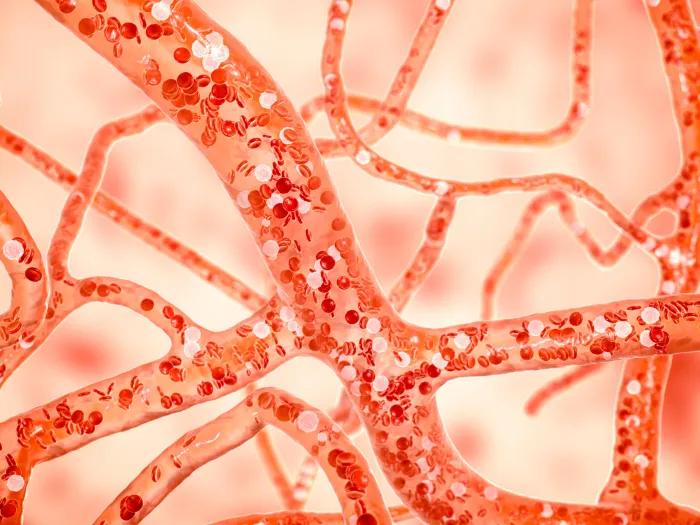 Close up image of red blood cells moving through veins