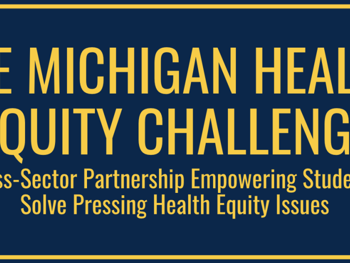 The Michigan Health Equity Challenge
