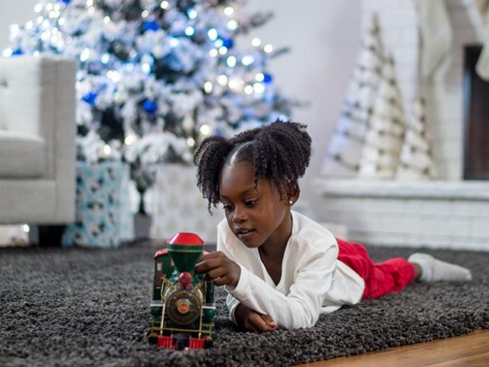 Holiday Safety Tips