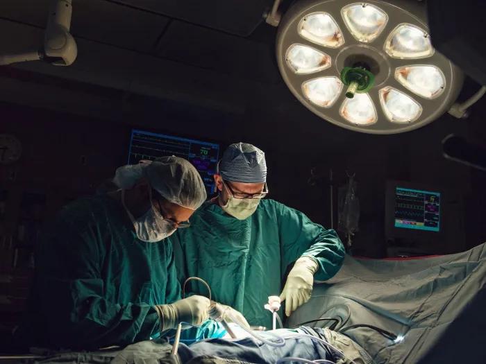 Two transplant surgeons operate under a large surgical light.