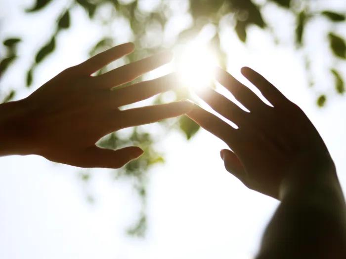 hands up in to sun blocking it in shadowy area under tree