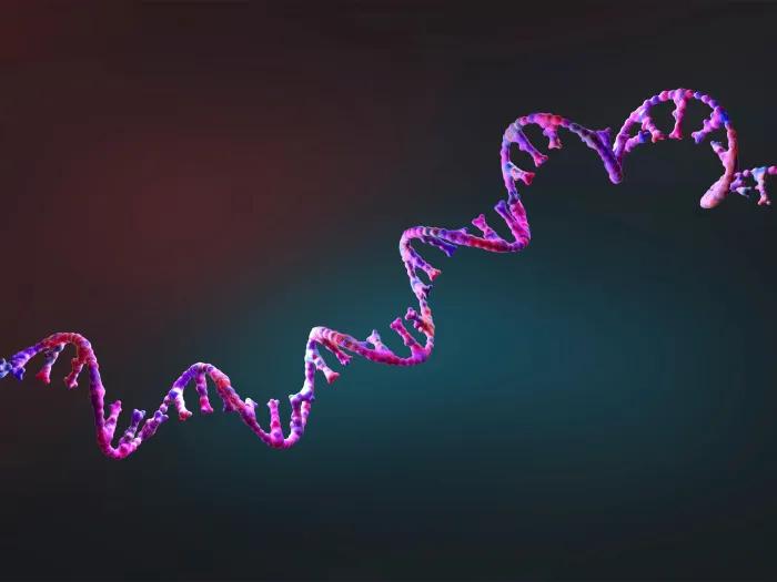 RNA strand in purple on black background