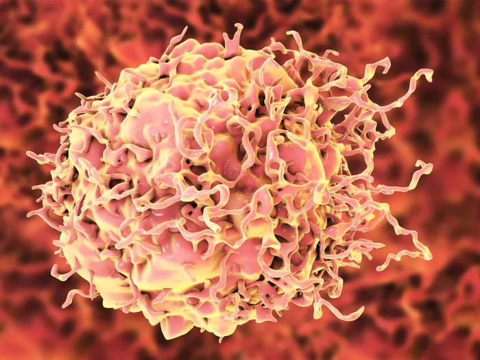 red cancer cell on red background
