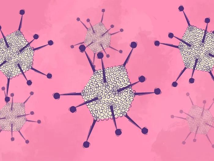 cells spikey on pink background purple spikes