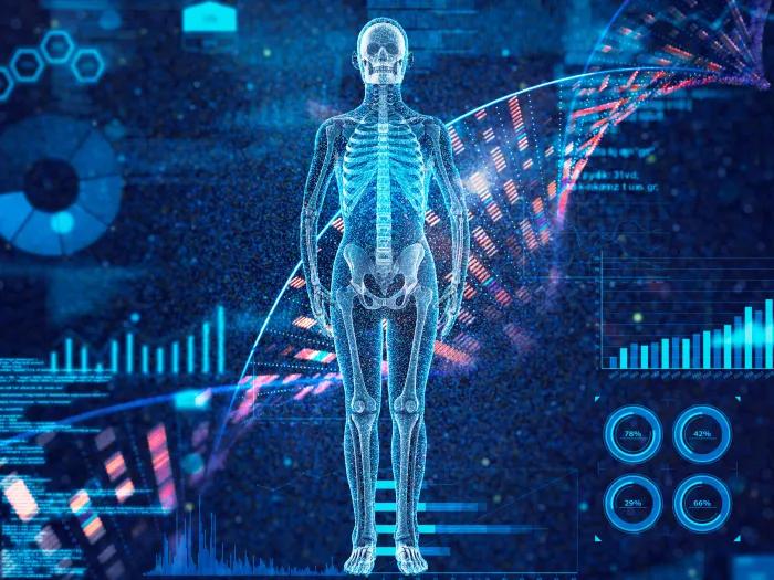 human body blue purple computerized 