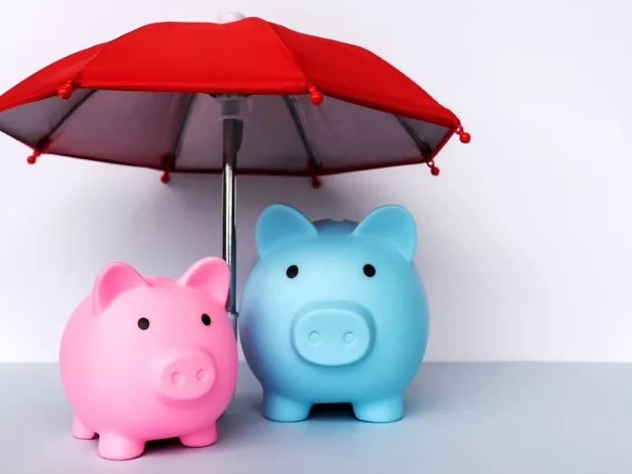 one pink pig and one blue pig under a red umbrella