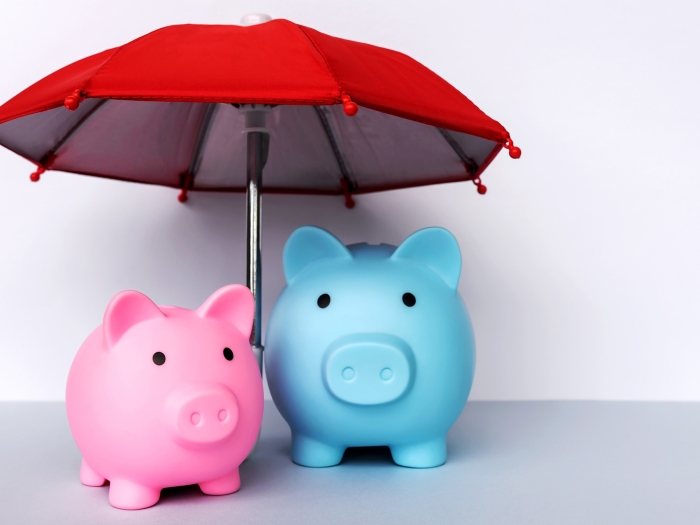 one pink pig and one blue pig under a red umbrella