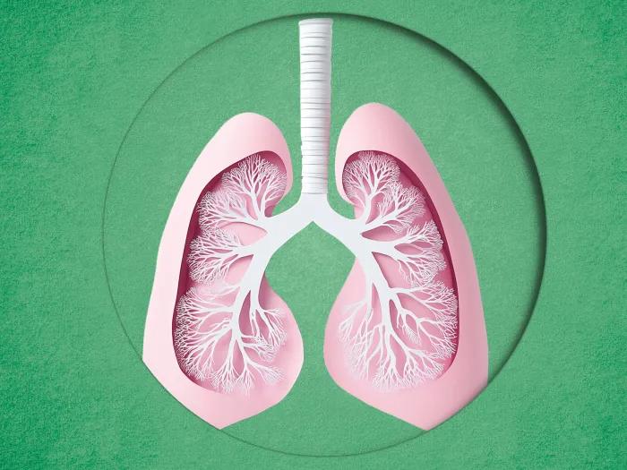 lungs pink green background 