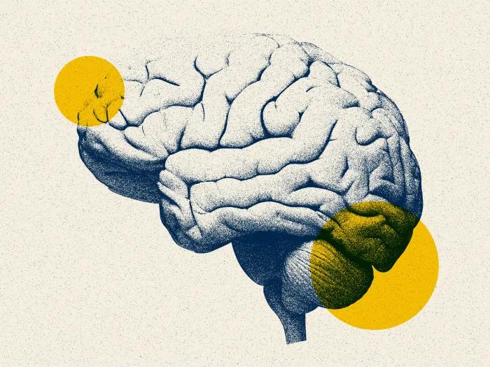 brain image in blue grainy white background with yellow floating circles and 