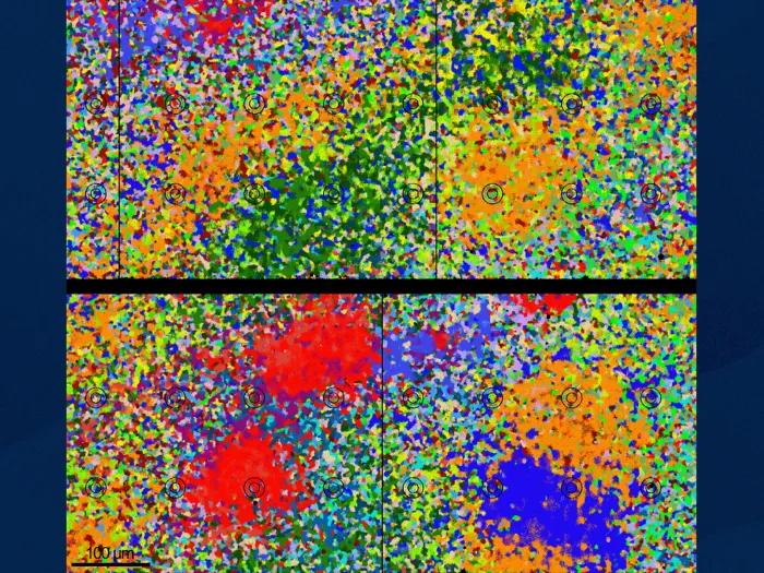 colorful yellow green red purple blue orange close up sequence 