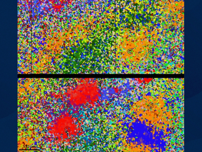 colorful yellow green red purple blue orange close up sequence 