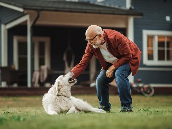 man leaning down to dog petting outside of a house on green grass