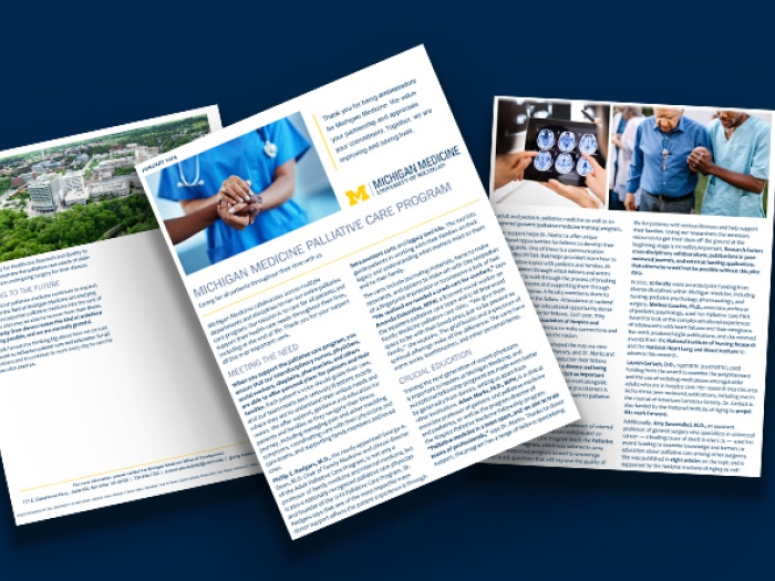 Three pages of the 2024 Palliative Care Program impact report on a blue background