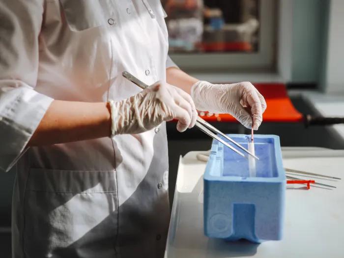 egg freezing in lab 