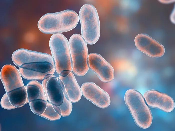 small bacteria cells floating on blue background reddish tint