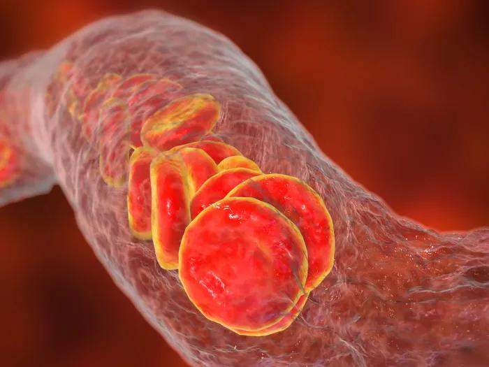red blood cells going through clear tube red background