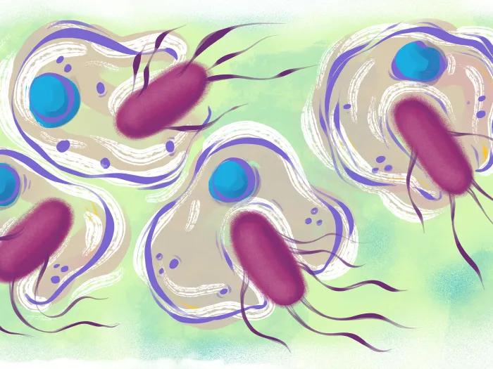 cells floating close up green blue pink 