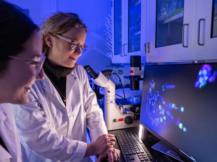 Michelle Hastings, Ph.D. and lab member look at molecule on computer screen.