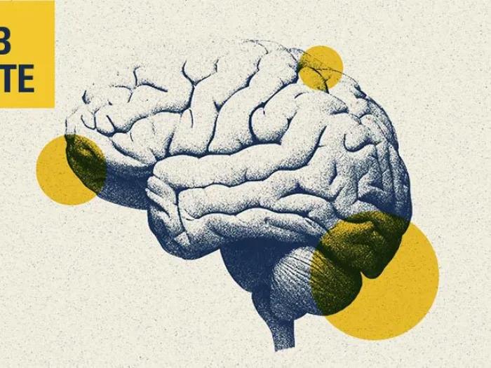 brain image lab note